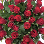 50 Red Roses_3.jpg