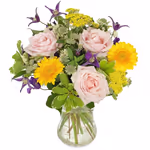 Moments of Happiness.jpg